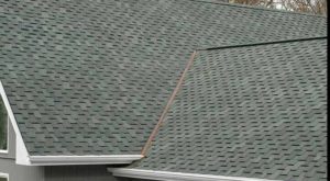 Goldenberg-Roofing-NYC-The-Top-GAF- Shingles-Of-2022