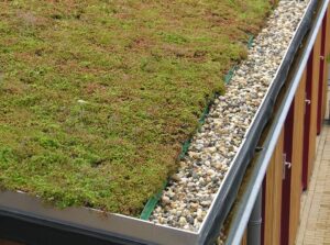 Goldenberg-Roofing-NYC- Flat-Roof-Gardening